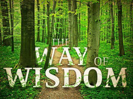 way of wisdom the_t_nv