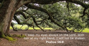 psalms-16-8
